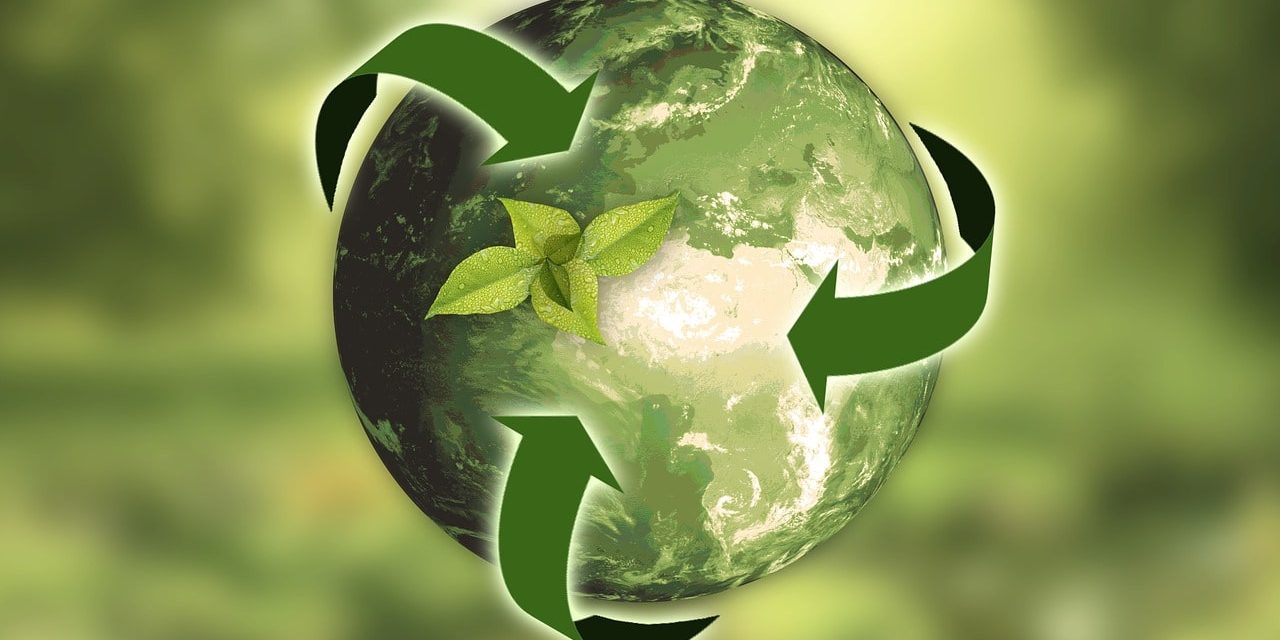 1 Sustainability in business
