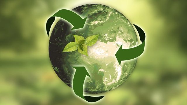 Sustainability in business