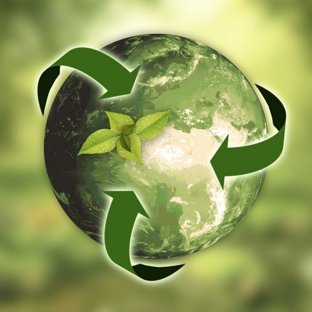 Sustainability in business