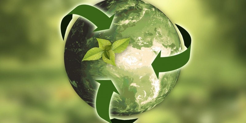 Sustainability in business