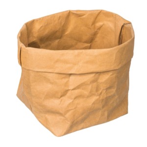 Eco Gifts Washable paper bag – L size