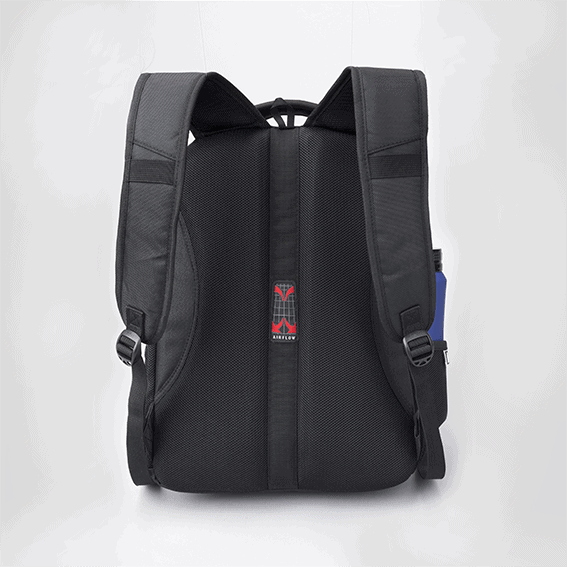 Colorissimo Voyager I business backpack