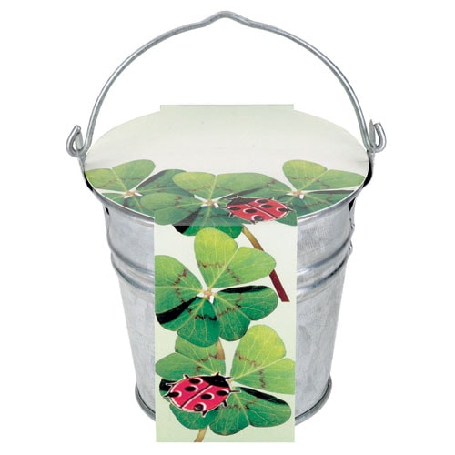Eco Care & Green Corner Zinc bucket four-leaf-clover