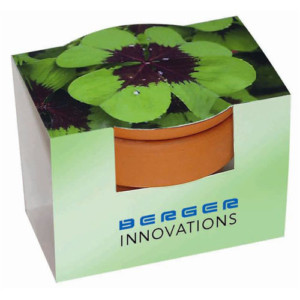 Eco Care & Green Corner Lucky Growth Pot
