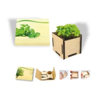 Eco Gifts Planting kraft kit – basil in a box