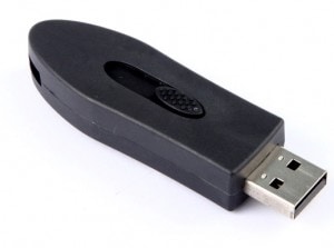Eco Gifts USB Flash Drive
