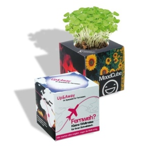 Eco Care & Green Corner Plant cube