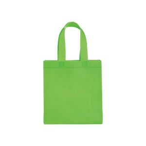 Eco Gifts Non-woven shopping bag Priya 80 g/m2