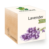 Eco Gifts Seeds in a wooden cube