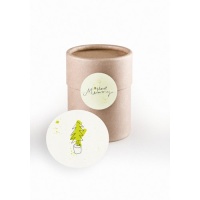 Eco Gifts Educational and eco-friendly memory card game