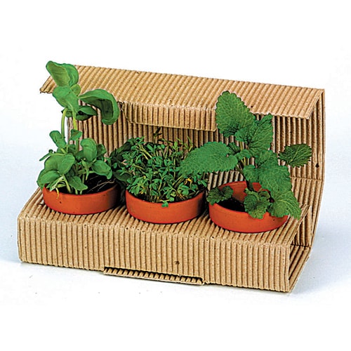 Eco Care & Green Corner Herbs Trio