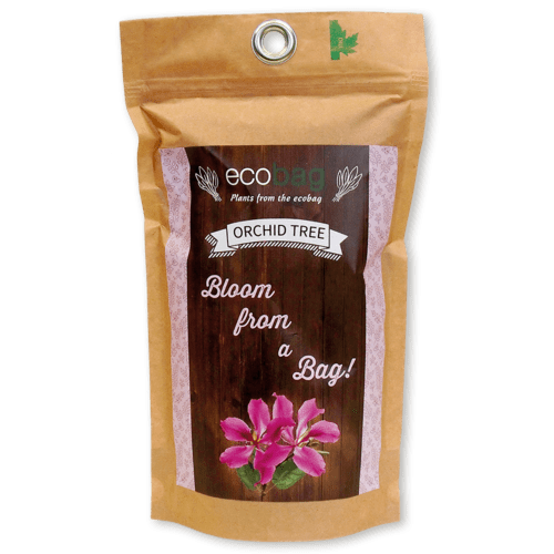Eco Care & Green Corner Seeds in an eco bag