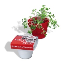 Eco Care & Green Corner Logo Plant Pot