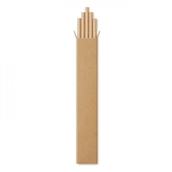 Eco Gifts 10 paper straws in Kraft box