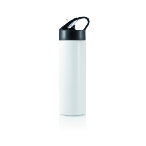 Drinkware H20 bottle with a straw – stainless steel