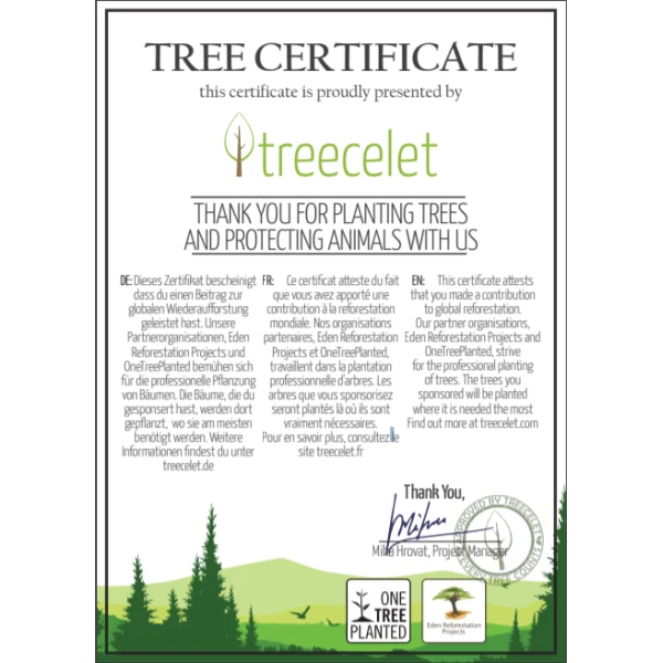 Eco Gifts Bracelet Treecelet Indonesia