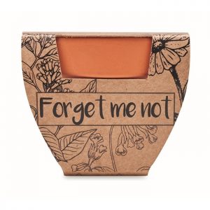 Eco Gifts Terracotta pot ‘forget me not’