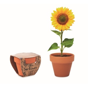 Eco Gifts Terracotta pot ‘sunflower’