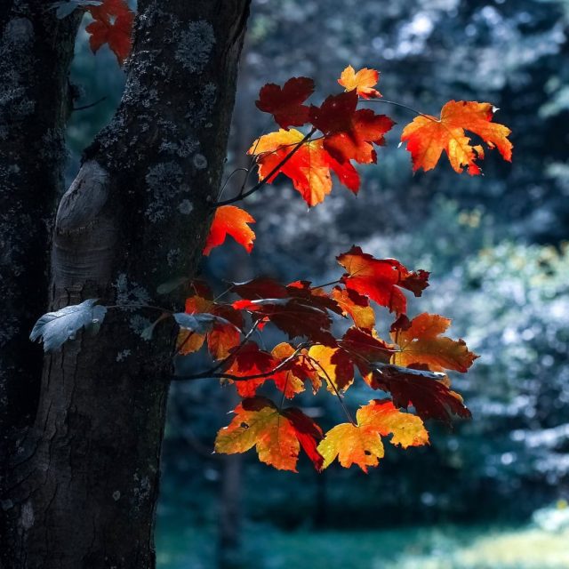 Seasonal Marketing Ideas: Best Gifts to Give to Your Business Partners Each Season