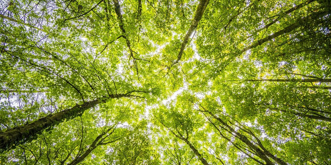 10 Tips to Turn Your Office into an Environmentally Friendly Workplace