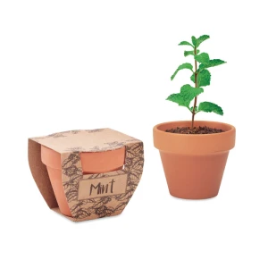 Eco Gifts MINT POT terracotta pot mint seeds