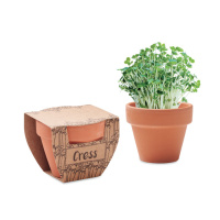 Eco Gifts Terracotta pot cress seeds