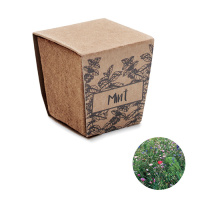 Eco Gifts Mint seeds growing kit