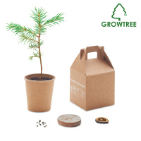 Eco Gifts Pine tree set