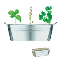Eco Gifts Zinc tub with 3 herbs seeds