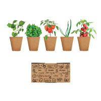 Eco Gifts Salad growing kit