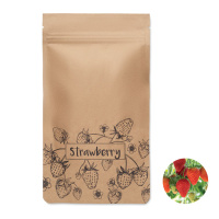 Eco Gifts Strawberry growing kit