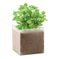Eco Gifts Compost with seeds “BASIL”