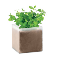 Eco Gifts Compost with seeds “MINT”
