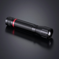 Colorissimo Optima Large Flashlight