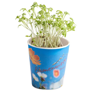Eco Gifts Flower meadow to-go
