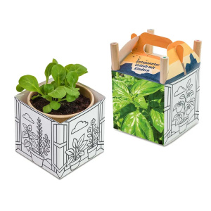 Eco Gifts Color & Grow House