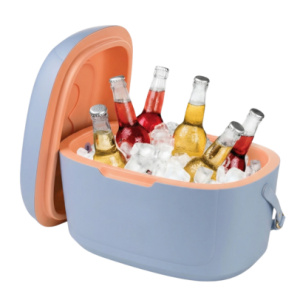 Cooler box Coldy Bags Cooler box Coldy
