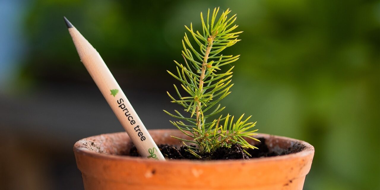 Growing Your Brand with Plantable Promotional Products Growing Your Brand with Plantable Promotional Products
