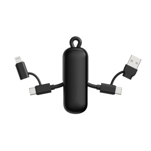 Urban Vitamin Dublin 100W 4 -in-1 keychain cable Chargers & Cables Urban Vitamin Dublin 100W 4 -in-1 keychain cable